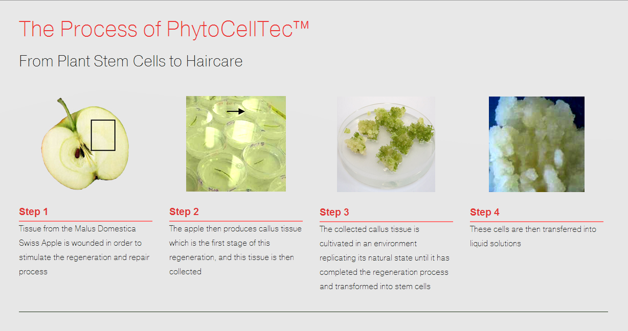 Skincare Ingredients for Hair? Where Science Meets Beauty