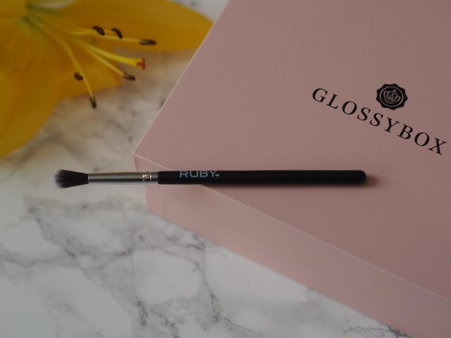 Ruby Professional Large Tapered Blending Brush