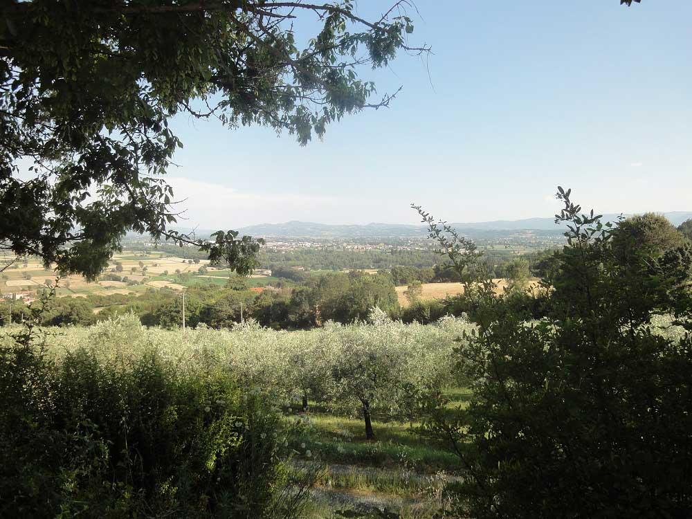 Italian Dreaming: Discover Tuscany