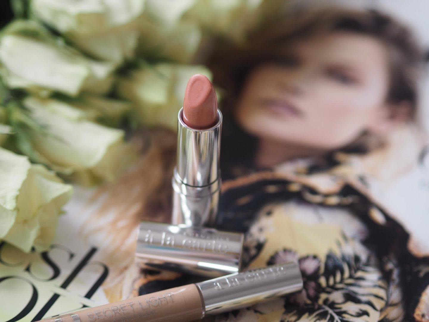 Best Lipsticks - Product: A La Carte Cosmetics Lipstick