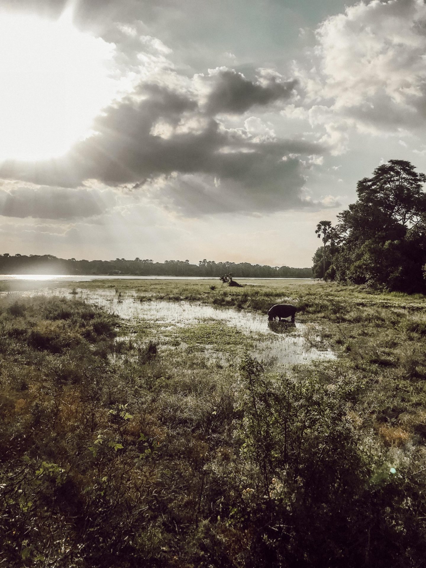 Mvuu Lodge in Liwonde National Park.
