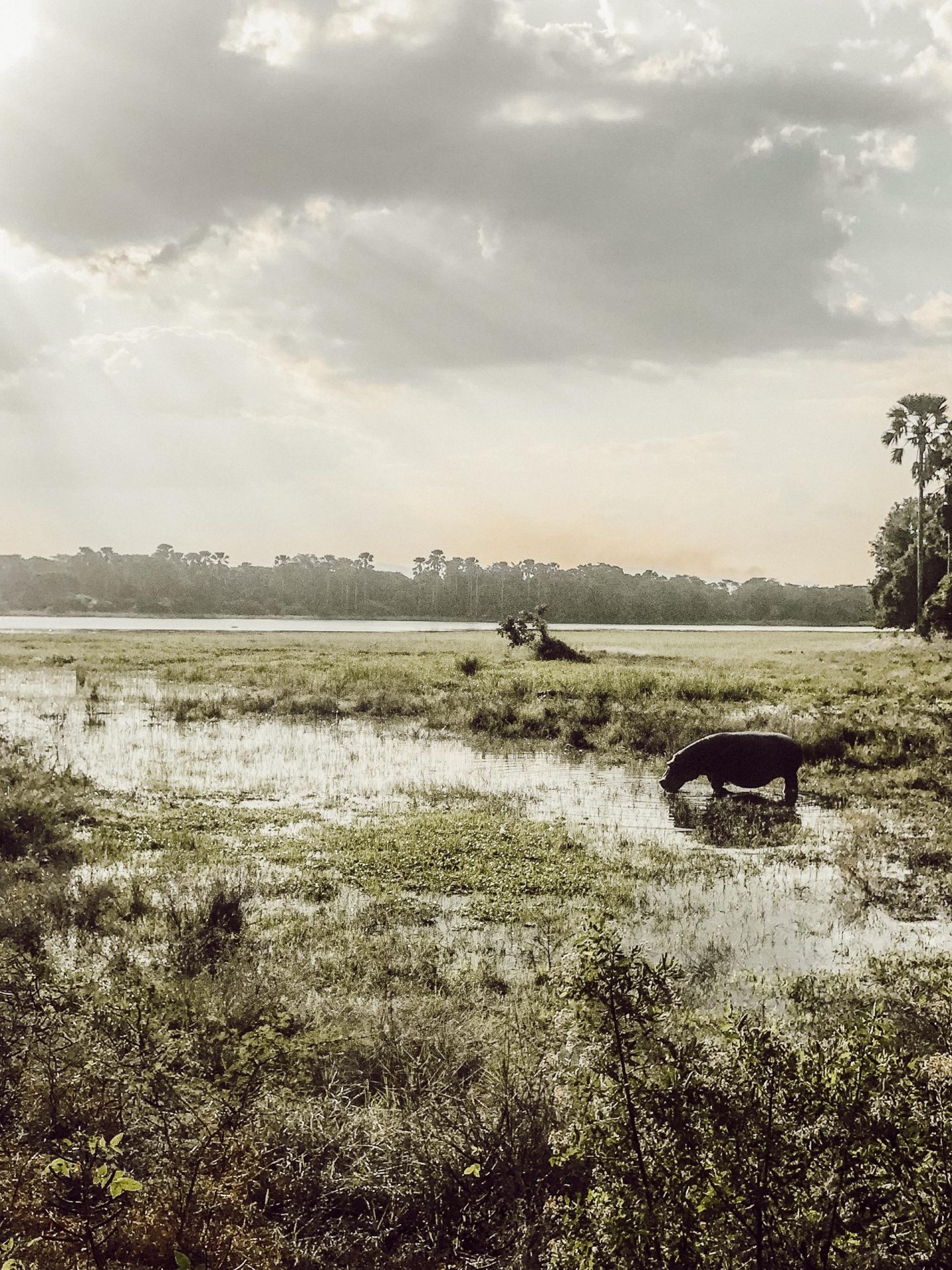 Mvuu Lodge in Liwonde National Park.