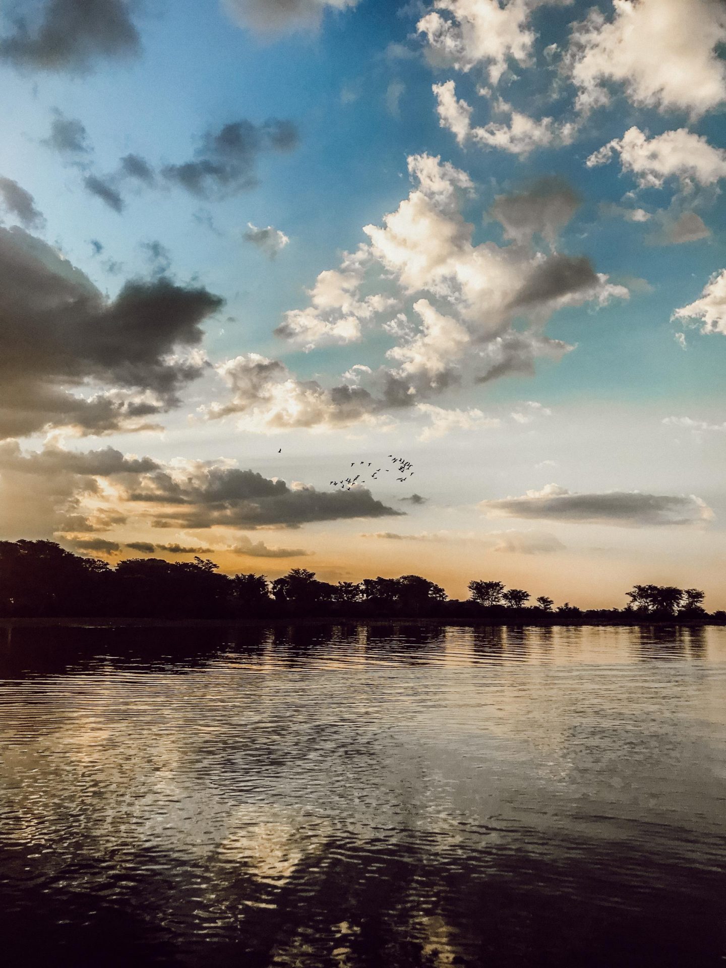 Sunset Cruise on Shire River