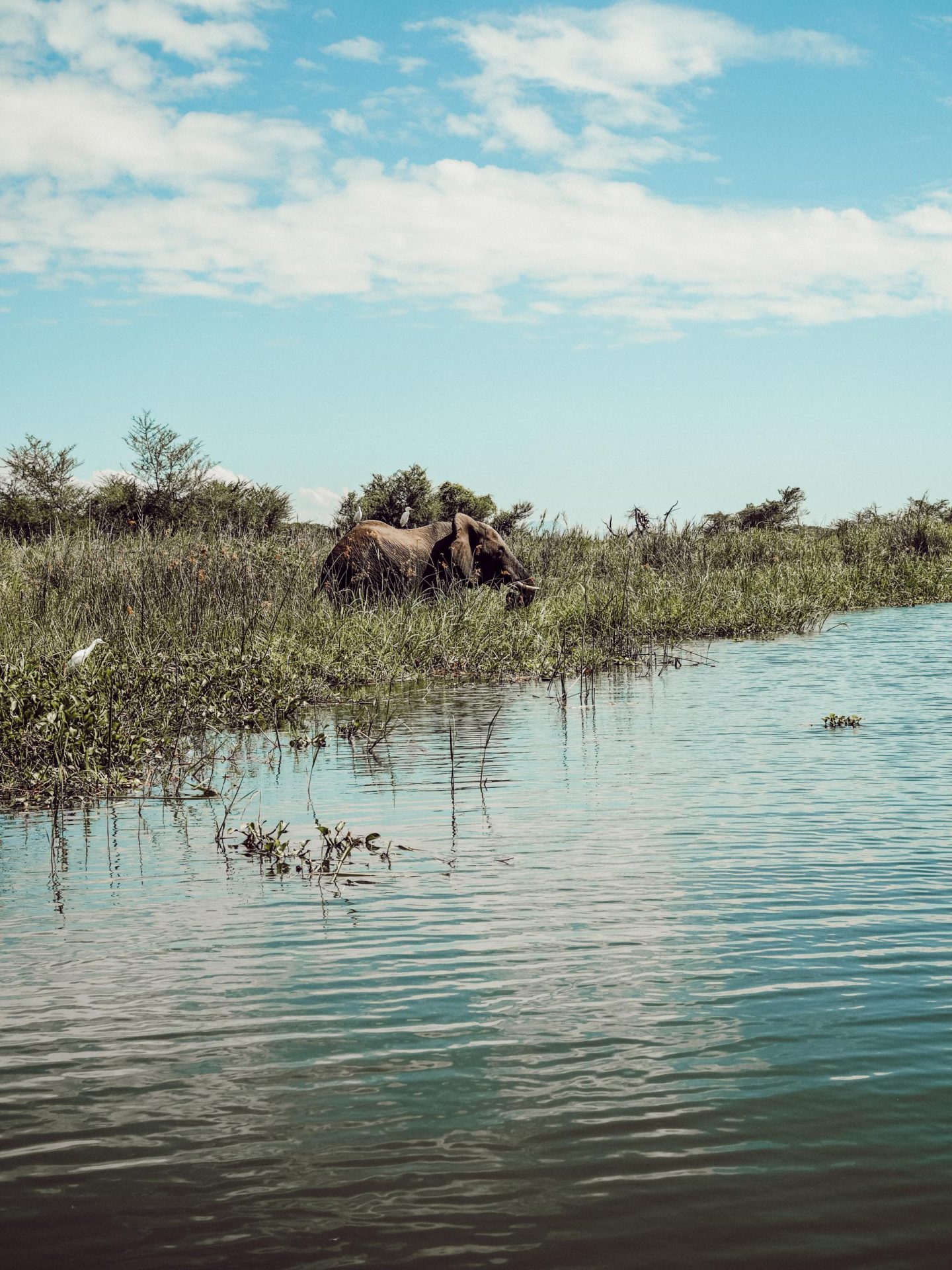Game Drive in Liwonde National Park