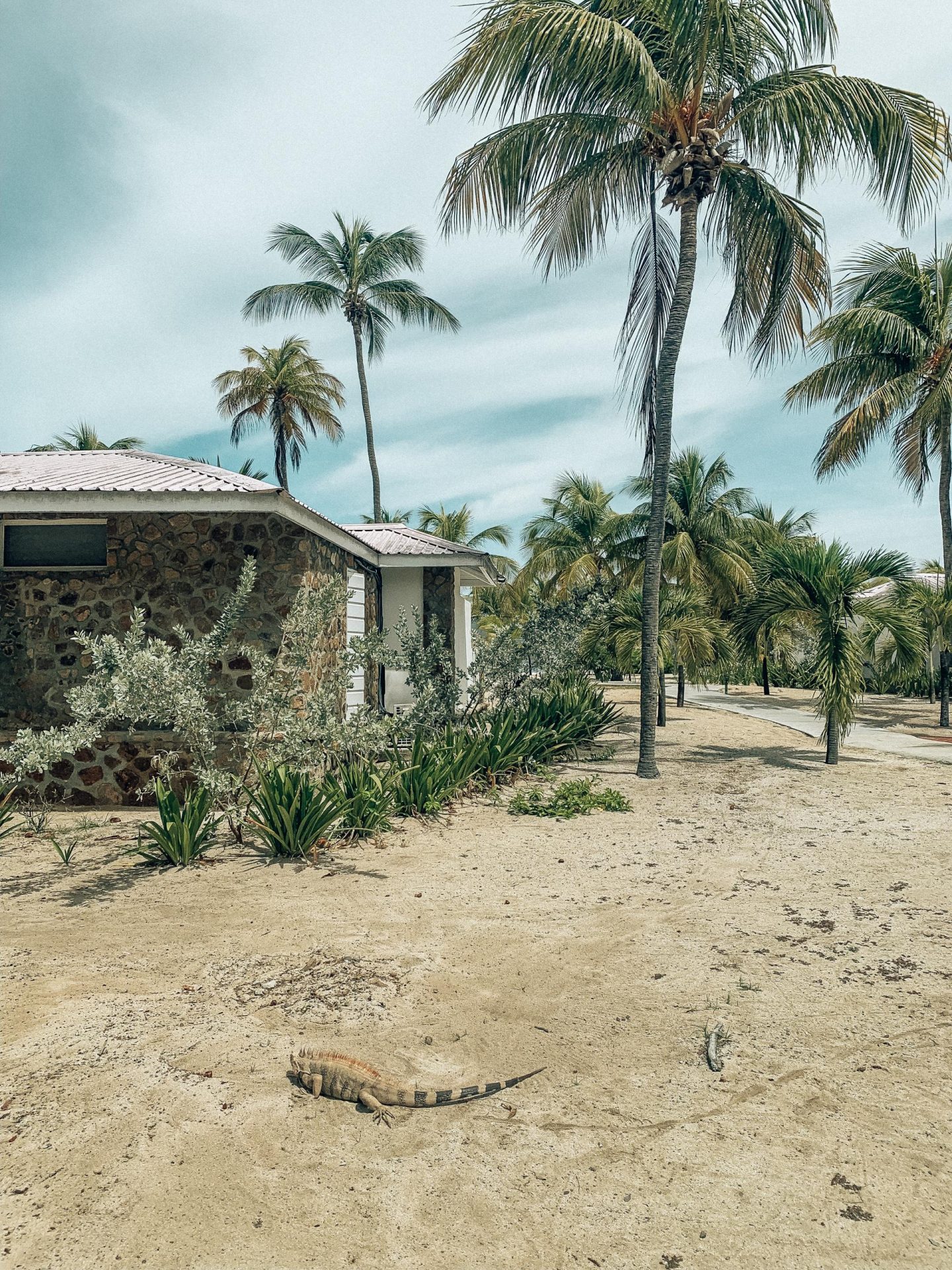 Palm Island Grenadines and Elite Island Resort